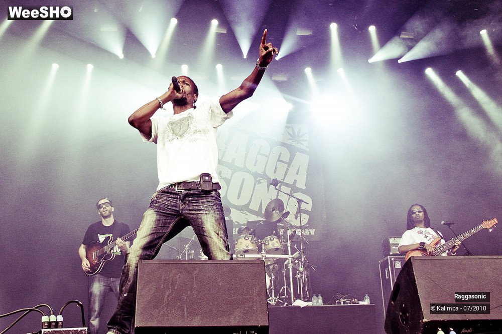 29/41 photos du spectacle Raggasonic