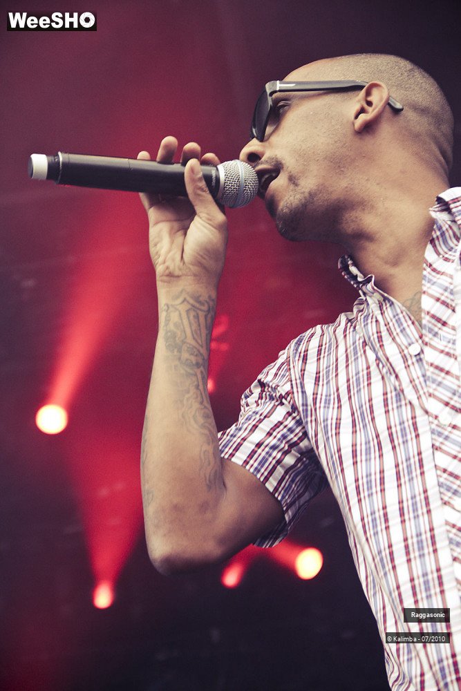 30/41 photos du spectacle Raggasonic