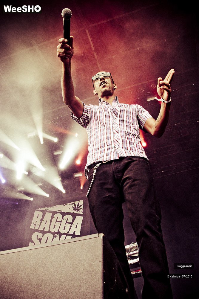 31/41 photos du spectacle Raggasonic