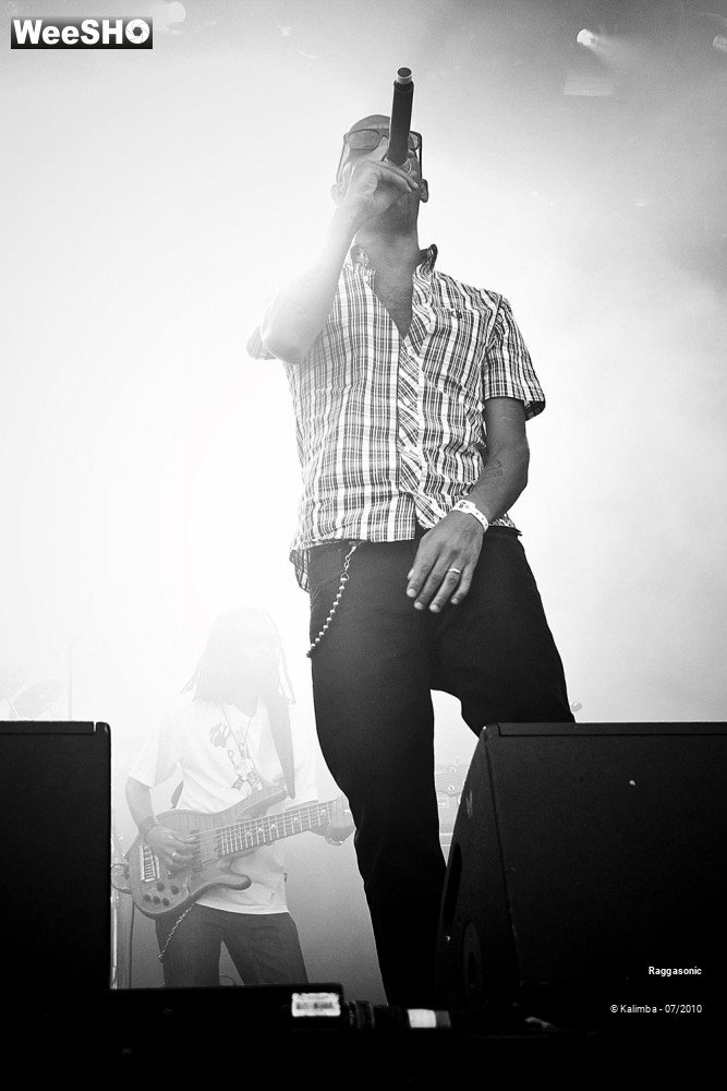 32/41 photos du spectacle Raggasonic