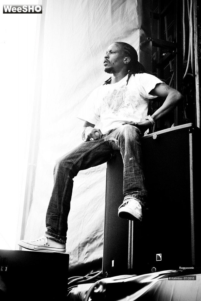 34/41 photos du spectacle Raggasonic