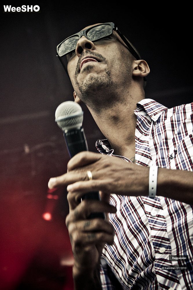 35/41 photos du spectacle Raggasonic
