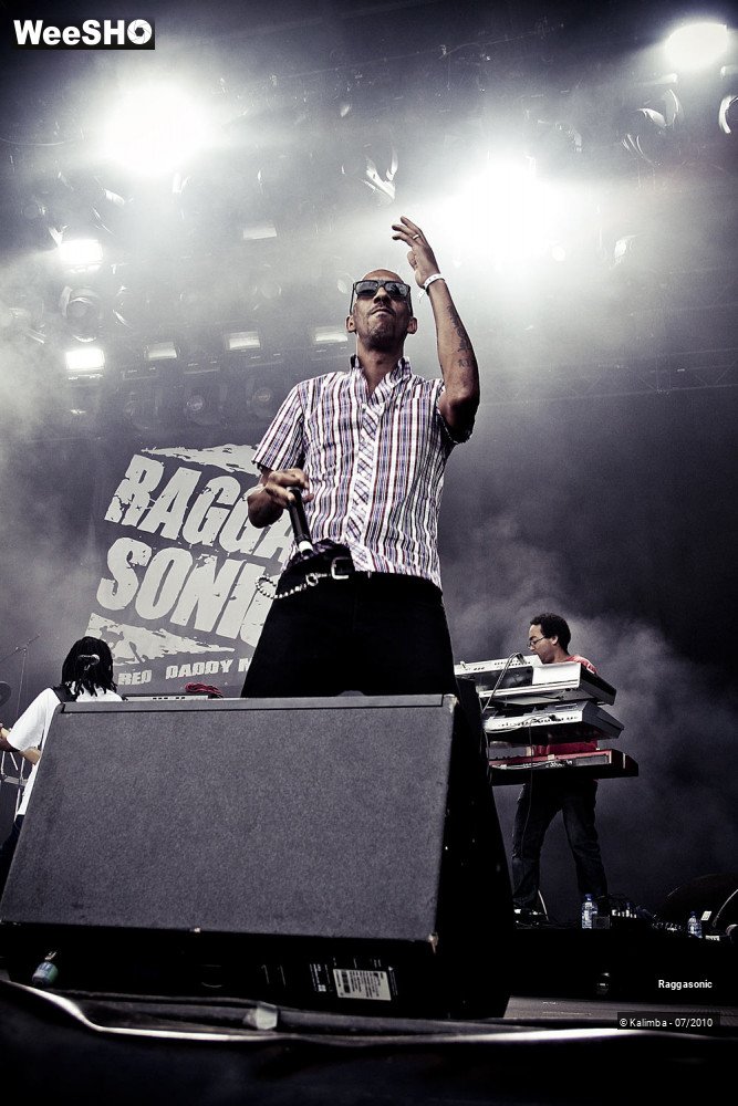 36/41 photos du spectacle Raggasonic