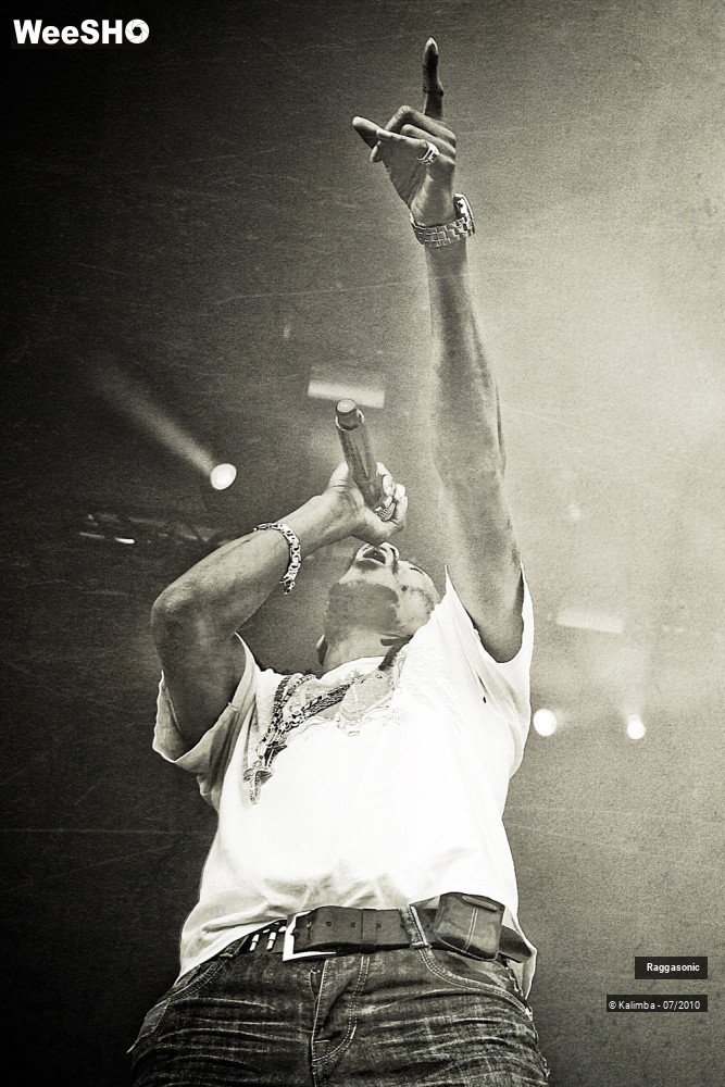 37/41 photos du spectacle Raggasonic