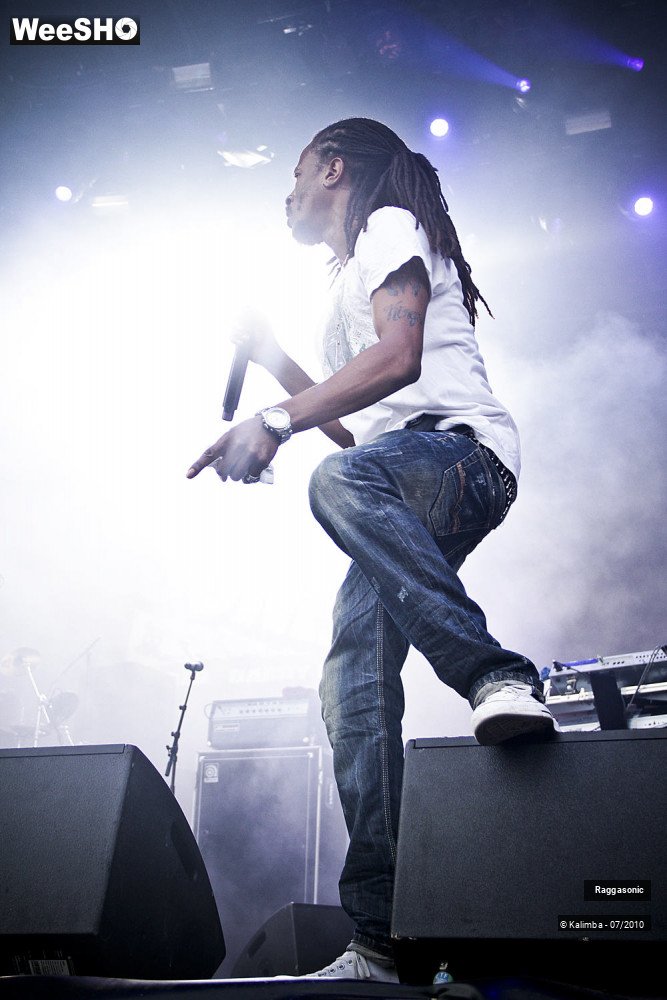 39/41 photos du spectacle Raggasonic