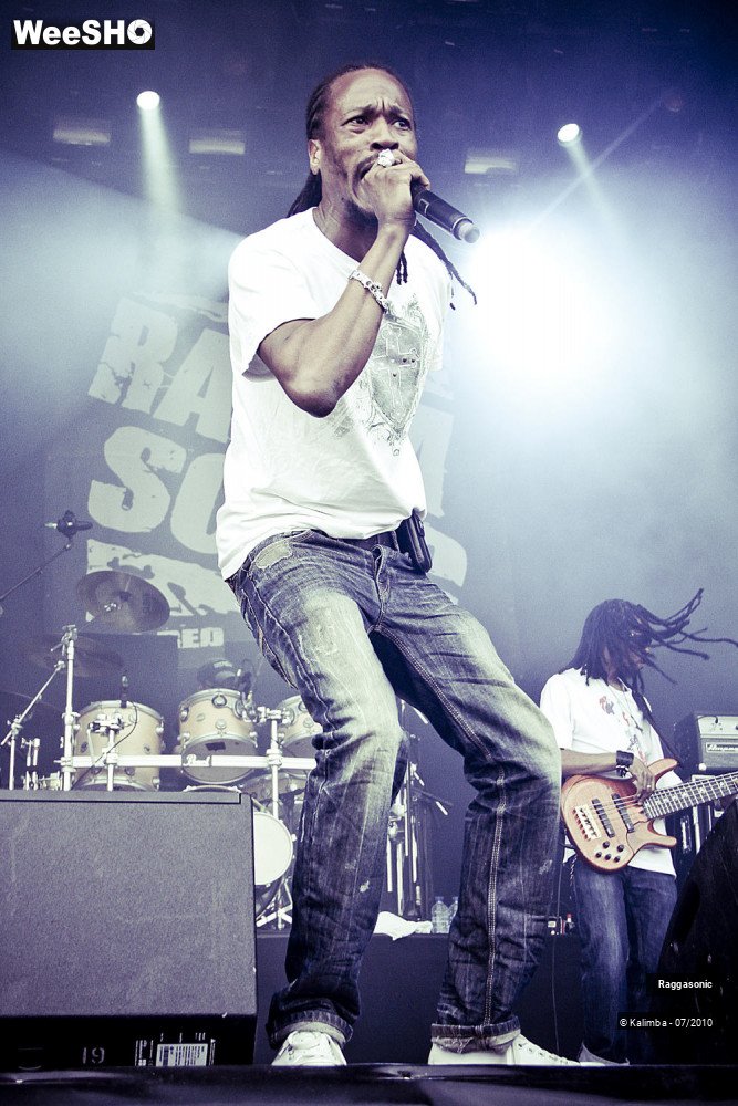 41/41 photos du spectacle Raggasonic