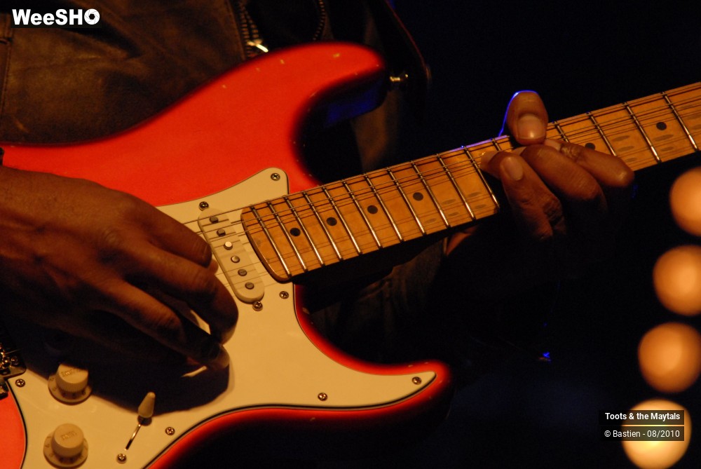 25/40 photos du spectacle Toots and the Maytals