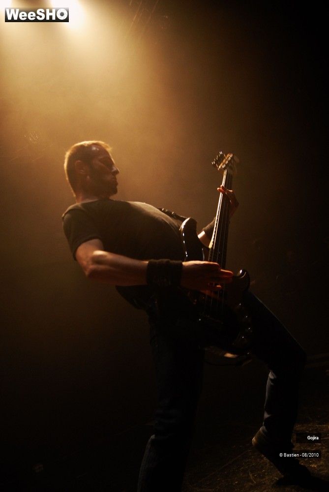 8/37 photos du spectacle Gojira