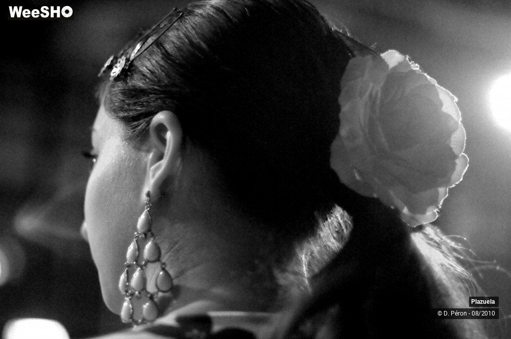 1/19 photos du spectacle Flamenco en Flandre