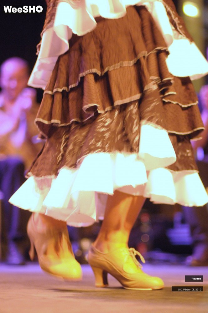 2/19 photos du spectacle Flamenco en Flandre