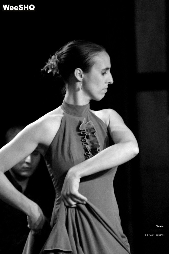 6/19 photos du spectacle Flamenco en Flandre