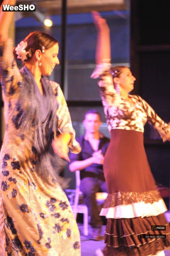 7/19 photos du spectacle Flamenco en Flandre