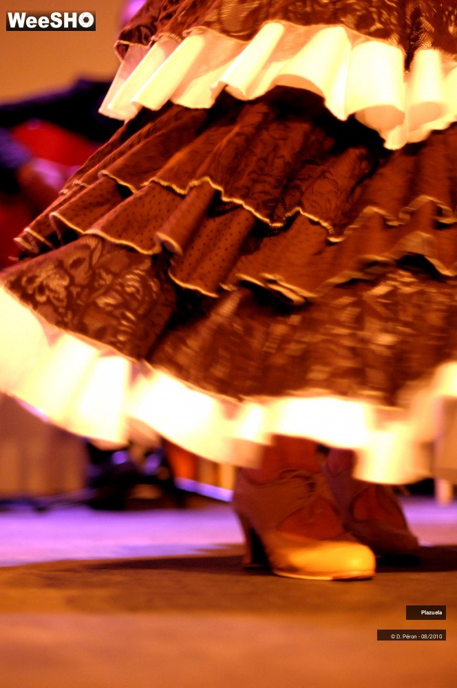 9/19 photos du spectacle Flamenco en Flandre