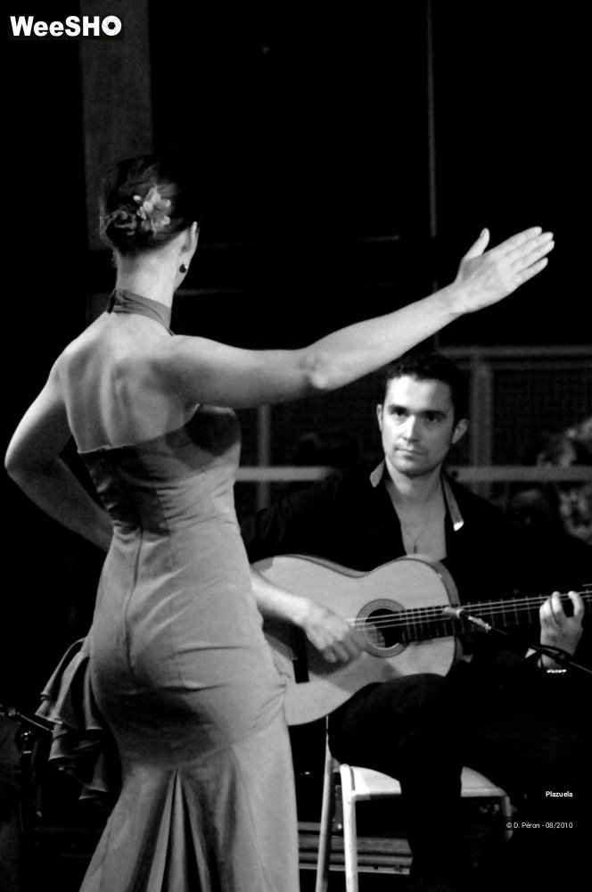 10/19 photos du spectacle Flamenco en Flandre