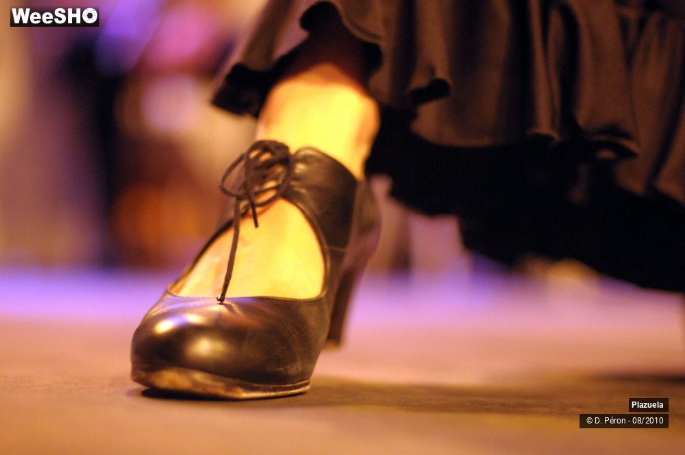 11/19 photos du spectacle Flamenco en Flandre