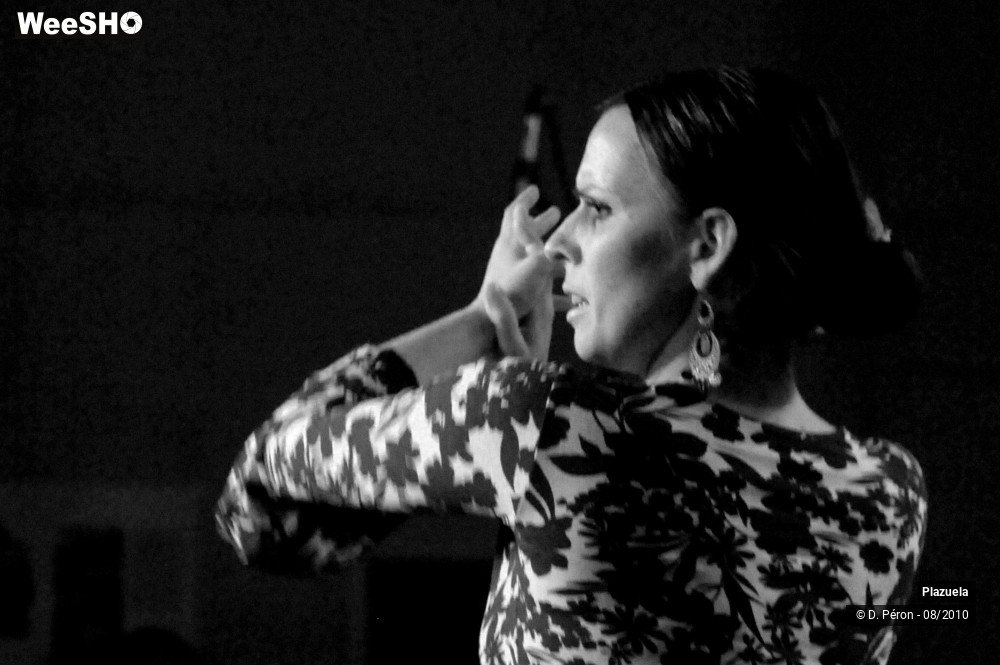 12/19 photos du spectacle Flamenco en Flandre