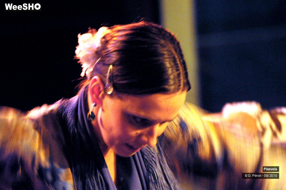 13/19 photos du spectacle Flamenco en Flandre