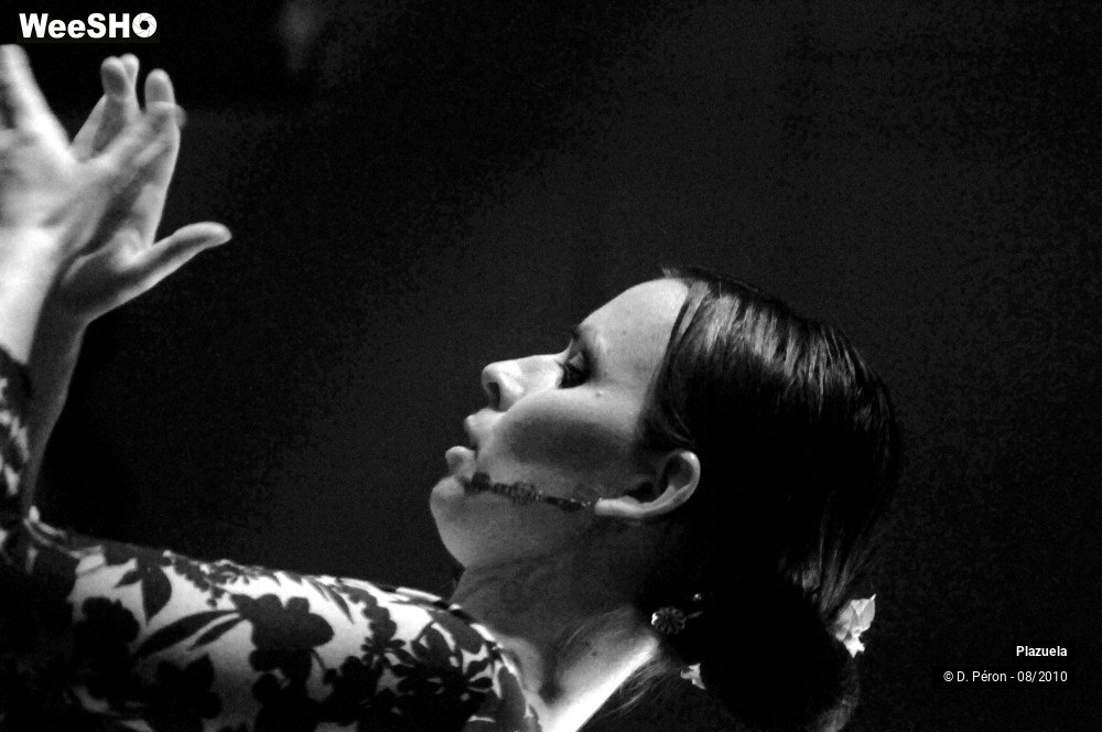 15/19 photos du spectacle Flamenco en Flandre