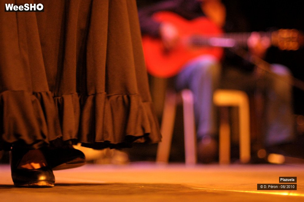 19/19 photos du spectacle Flamenco en Flandre