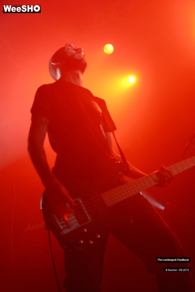 13/50 photos du spectacle Lumberjack feedback