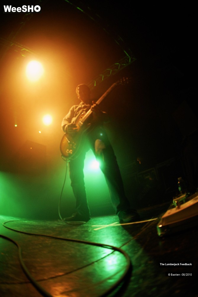 14/50 photos du spectacle Lumberjack feedback