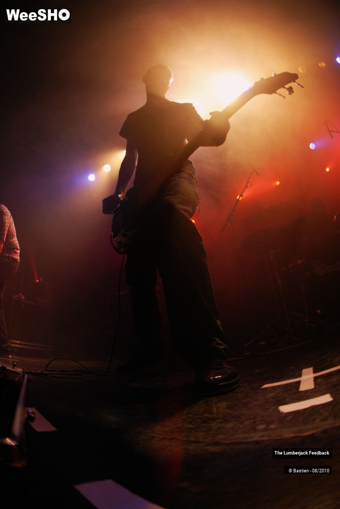 19/50 photos du spectacle Lumberjack feedback