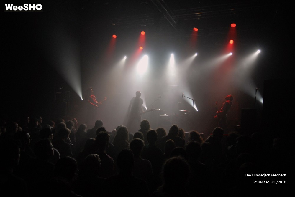 35/50 photos du spectacle Lumberjack feedback