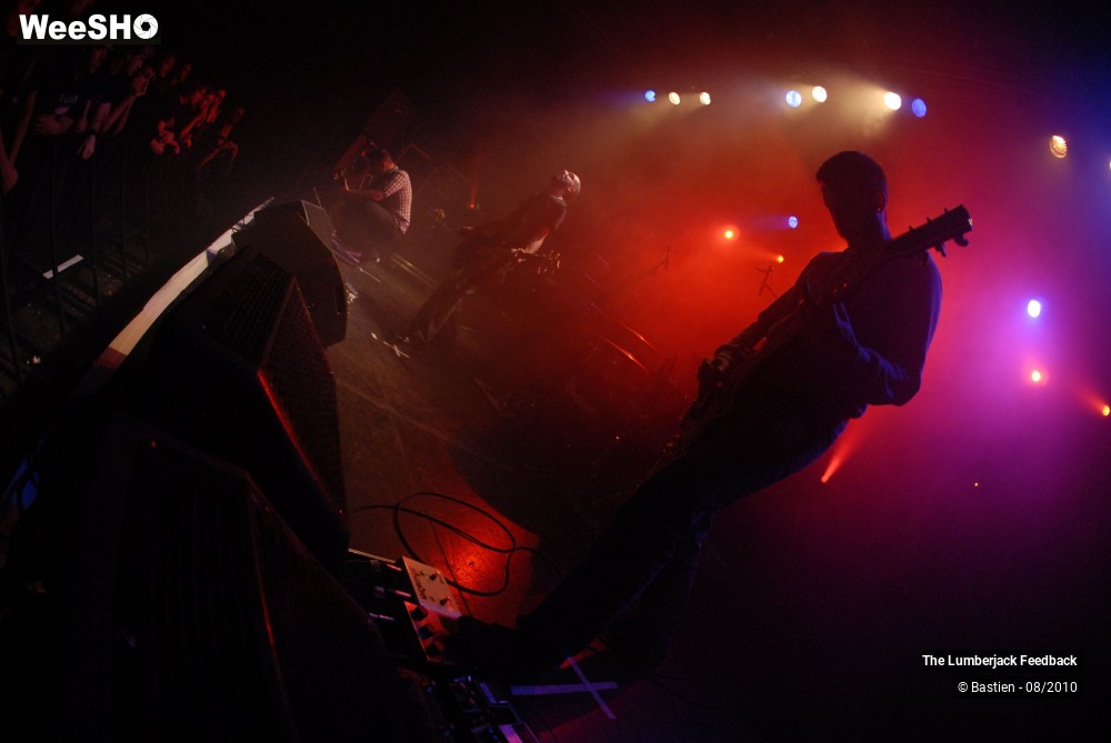 36/50 photos du spectacle Lumberjack feedback
