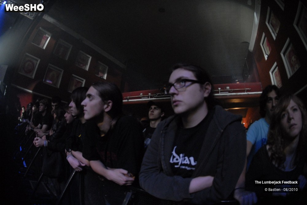 47/50 photos du spectacle Lumberjack feedback