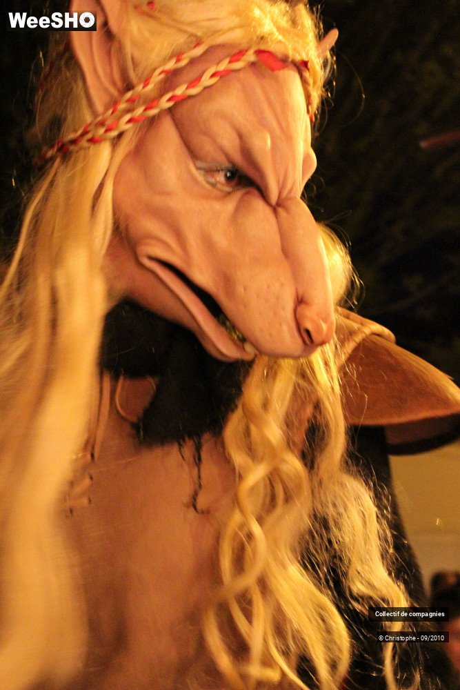 4/40 photos du spectacle Bellaing Medieval 2010
