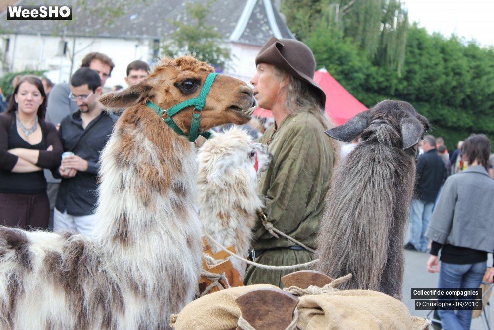 28/40 photos du spectacle Bellaing Medieval 2010