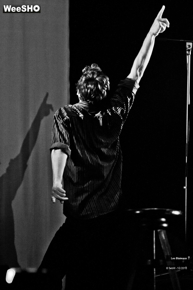 15/32 photos du spectacle Les Blaireaux