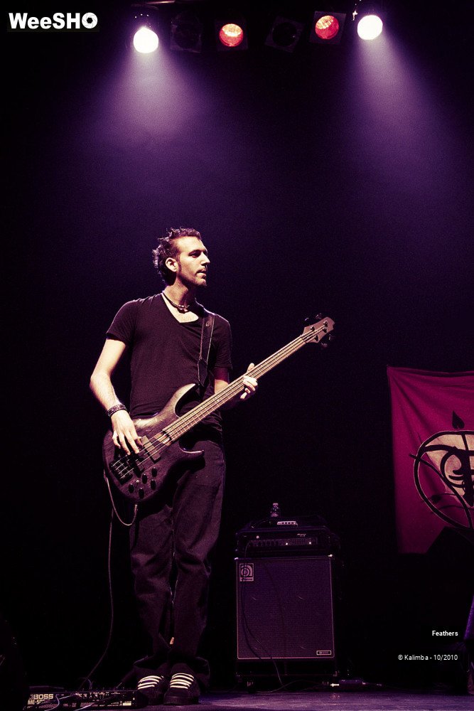3/16 photos du spectacle Feathers 
