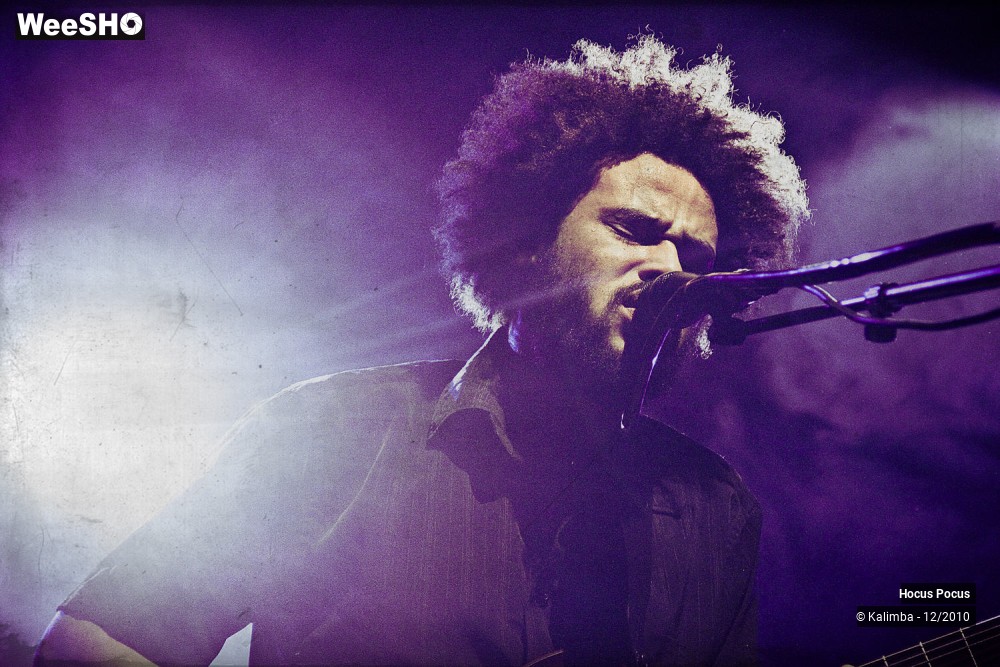 33/50 photos du spectacle Hocus Pocus
