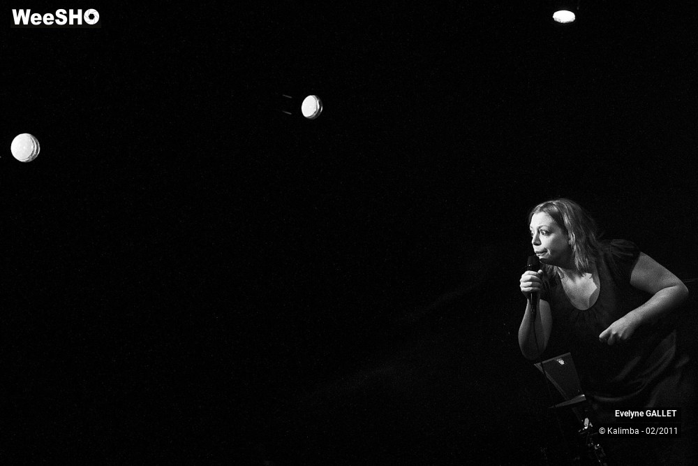 6/20 photos du spectacle Evelyne GALLET