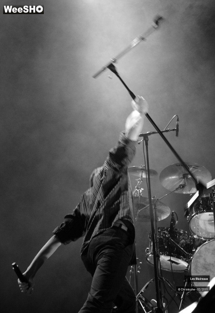 9/50 photos du spectacle Les Blaireaux