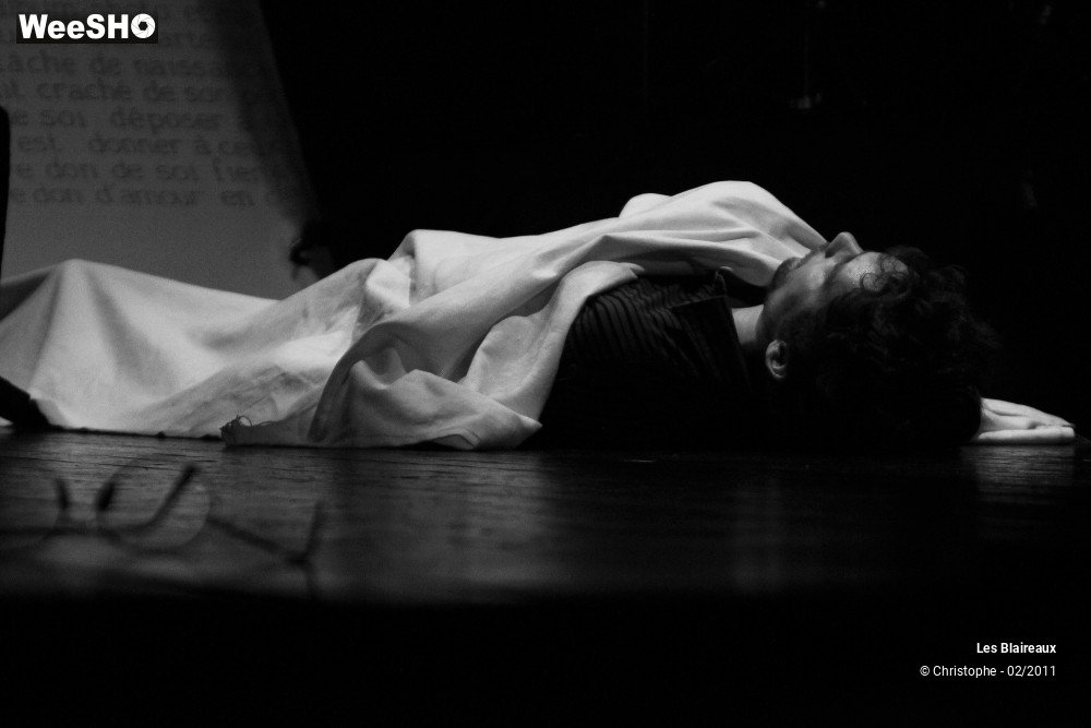 16/50 photos du spectacle Les Blaireaux