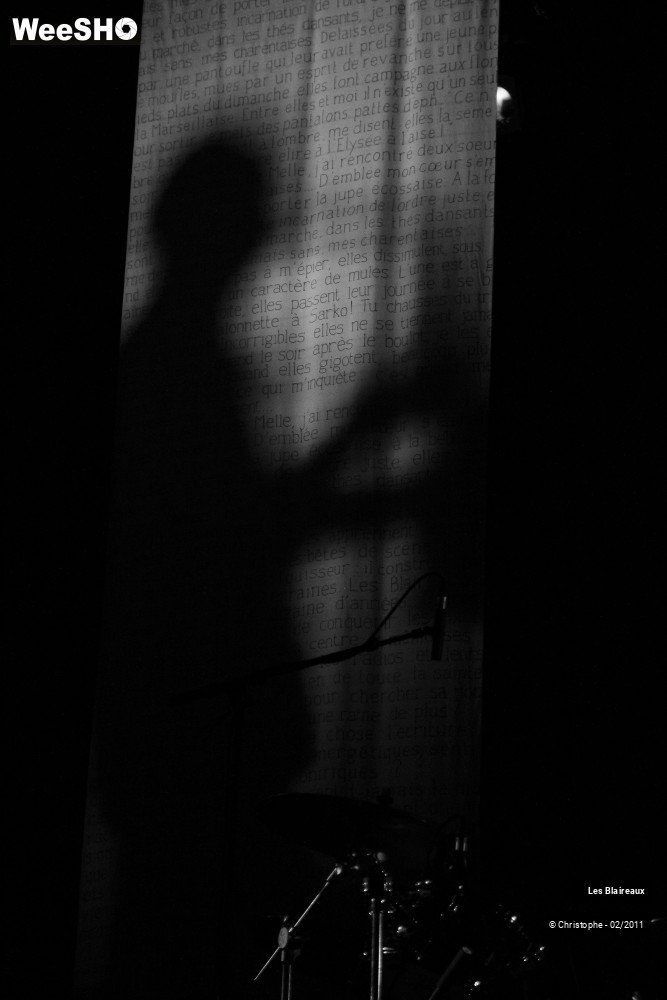 20/50 photos du spectacle Les Blaireaux