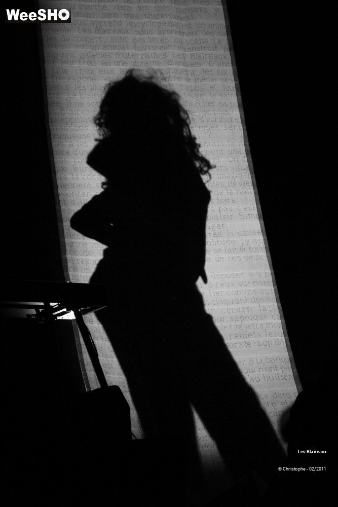 24/50 photos du spectacle Les Blaireaux