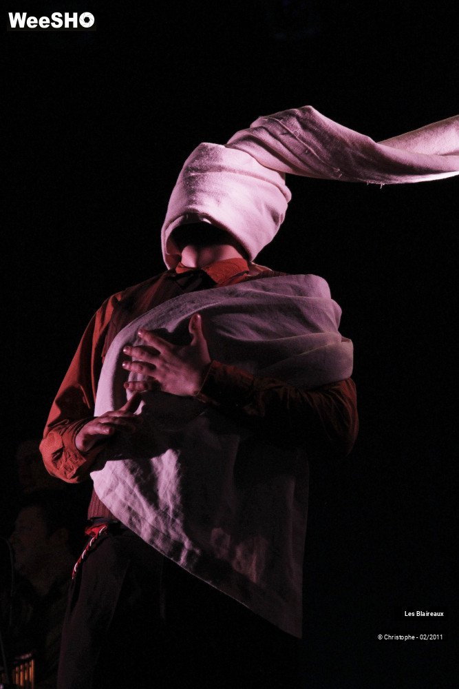 36/50 photos du spectacle Les Blaireaux