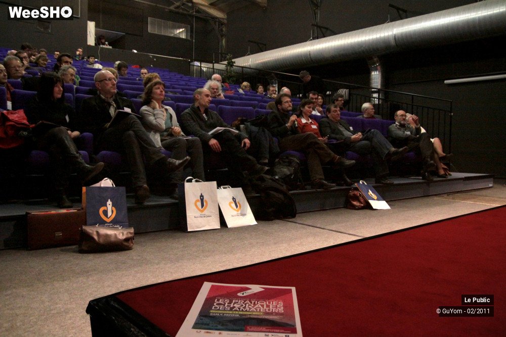 11/32 photos du spectacle Les pratiques chorales des amateurs
