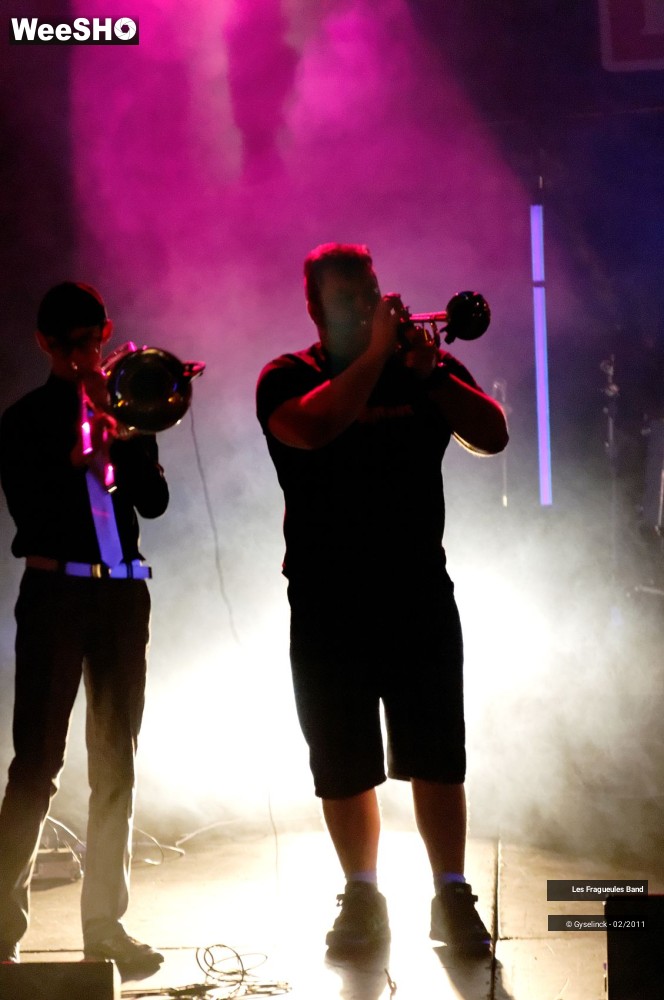 18/31 photos du spectacle Les Fragueules Band