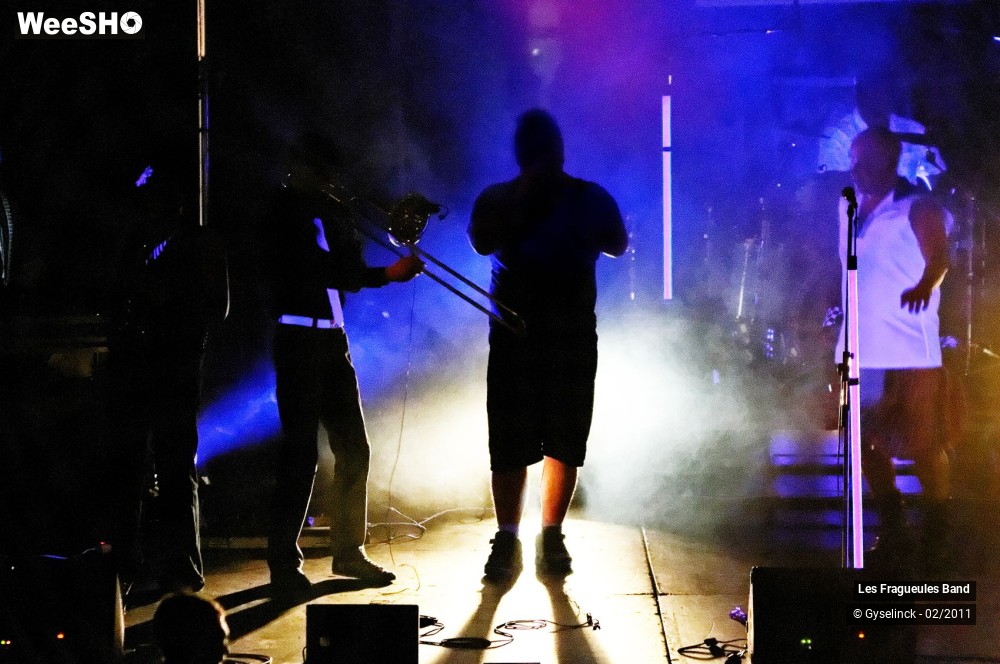 23/31 photos du spectacle Les Fragueules Band