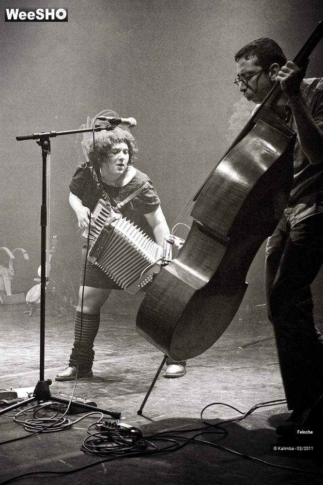 10/47 photos du spectacle Féloche