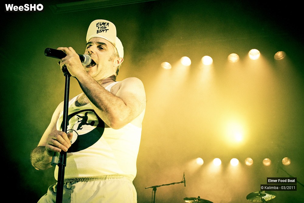 6/50 photos du spectacle Elmer Food Beat