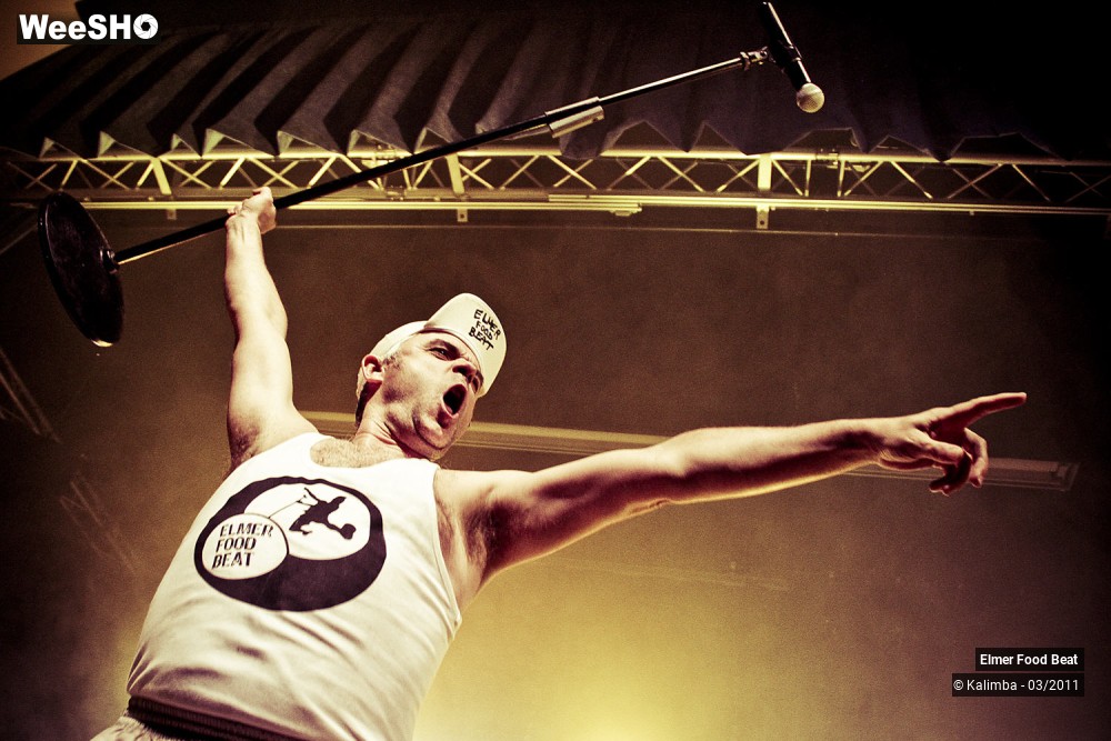 7/50 photos du spectacle Elmer Food Beat