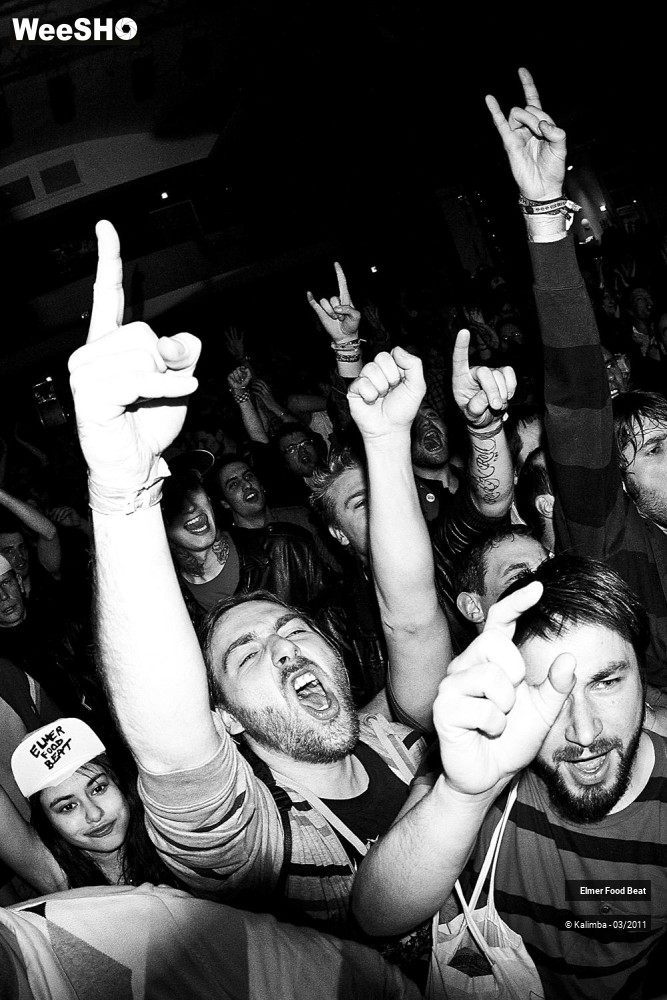 10/50 photos du spectacle Elmer Food Beat