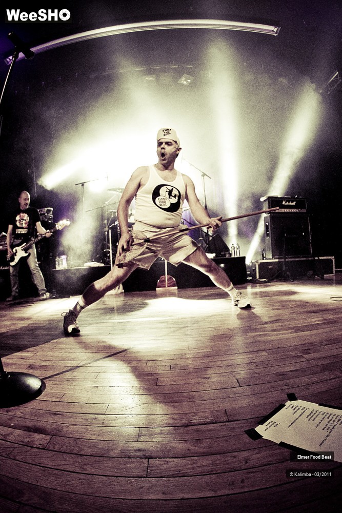 16/50 photos du spectacle Elmer Food Beat