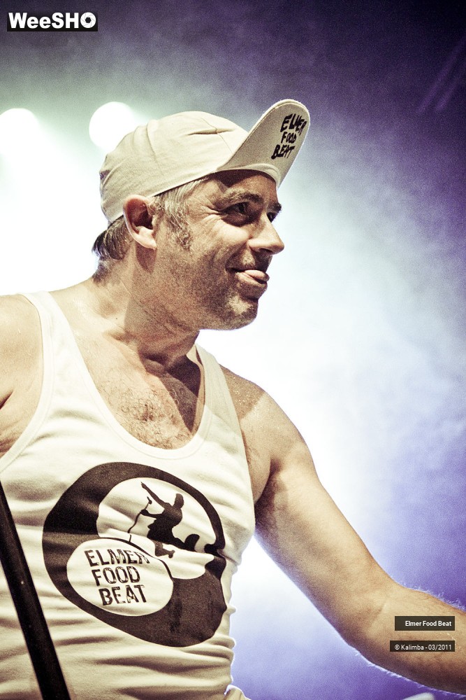 18/50 photos du spectacle Elmer Food Beat