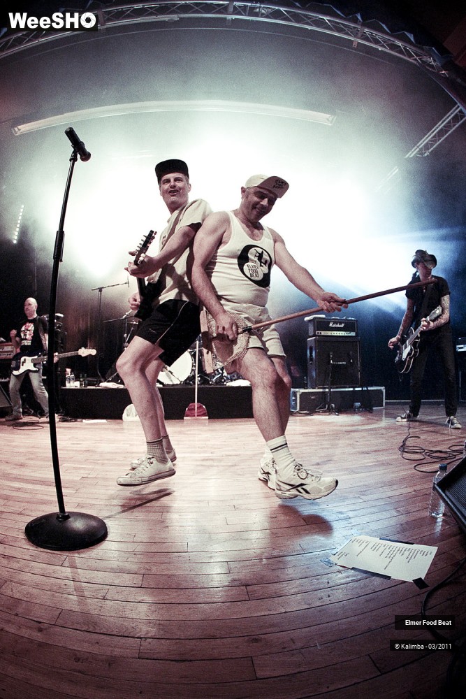 24/50 photos du spectacle Elmer Food Beat
